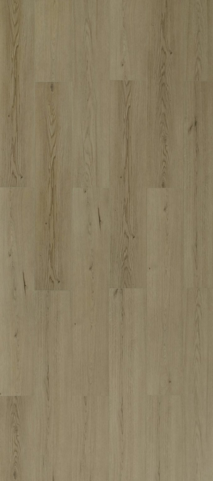 Toucan TFL62 Series - TFL625 Whistler Pine