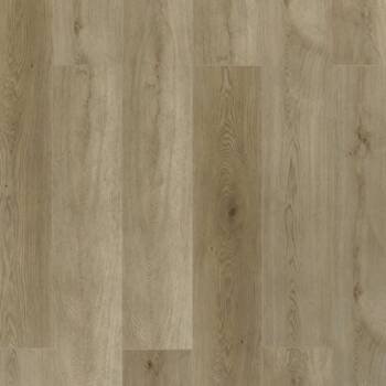Toucan TFL62 Series - TFL626 Prairie Wheat