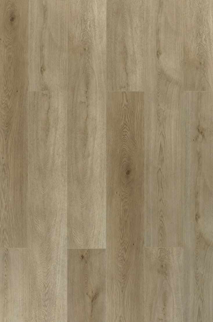 Toucan TFL62 Series - TFL627 Honey Birch