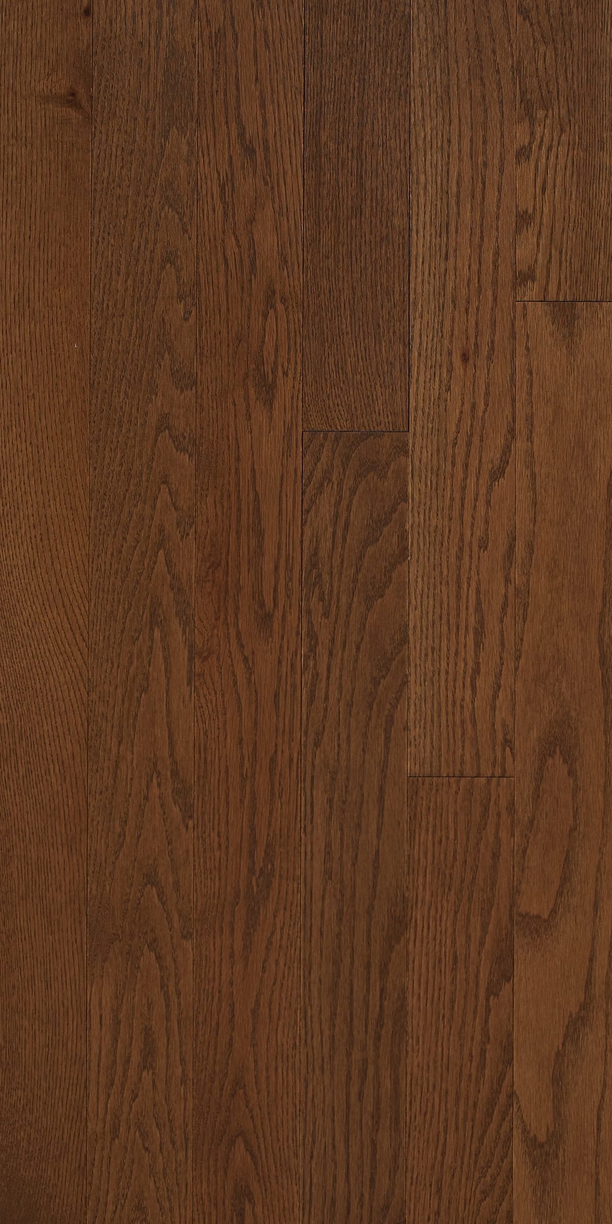 treebark-red-oak-excel-appalachian-flooring-canadian-made-hardwood