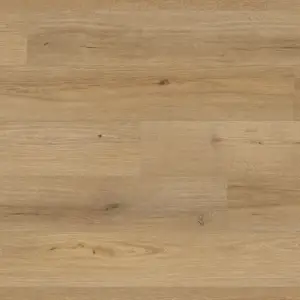 SPC - Countryside Elm