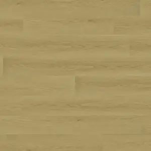 Cream Oak Laminate