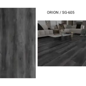 Orion