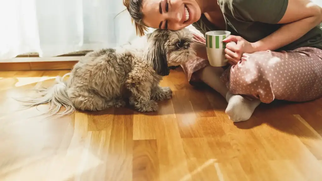 Durable flooring for cats and dogs: owner relaxing with her dog on a wood-look vinyl plank floor